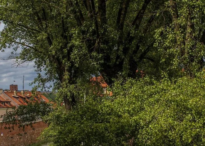 Ivis House - Classical With Balcony In Old Town Vilnius