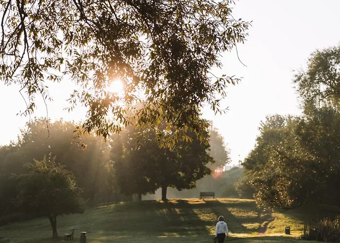 アパート Ivis House - Classical With Balcony In Old Town ヴィリニュス