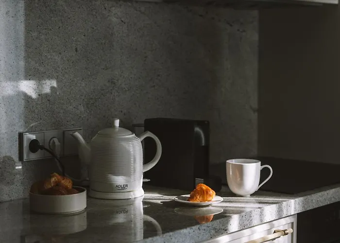 Ivis House - Classical With Balcony In Old Town Апартаменты Вильнюс