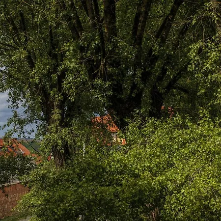 Ivis House - Classical With Balcony In Old Town Wilno